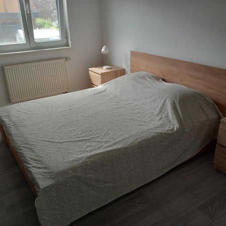 Appartement 3 Pieces Avec Balcon Rhinau Kültér fotó