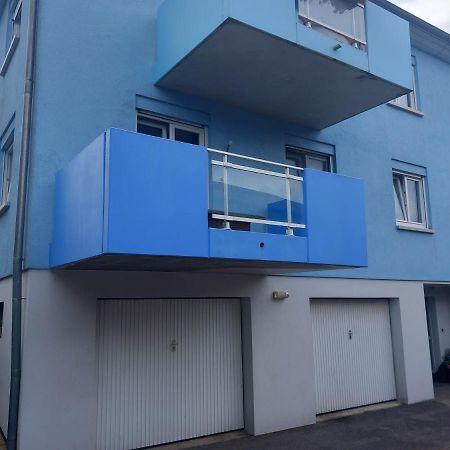Appartement 3 Pieces Avec Balcon Rhinau Kültér fotó