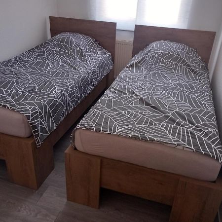 Appartement 3 Pieces Avec Balcon Rhinau Kültér fotó