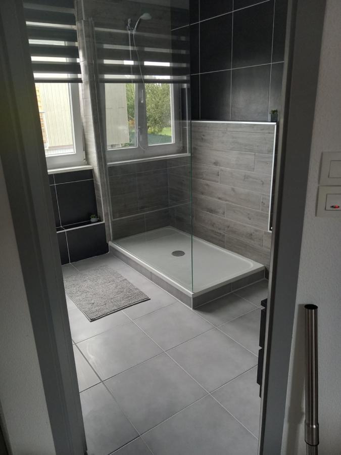 Appartement 3 Pieces Avec Balcon Rhinau Kültér fotó